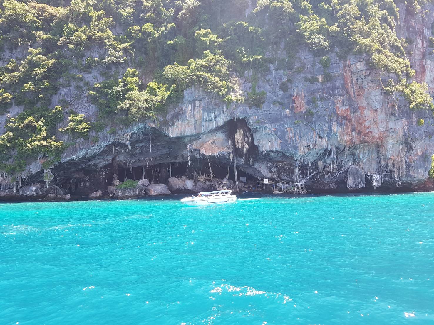 Phi Phi - Maya - Bamboo Island tour by Cruise Boat 